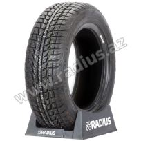 Himalaya WS1